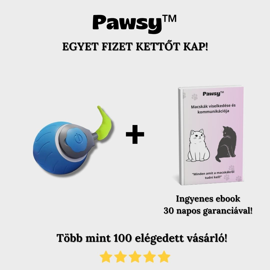 Pawsy™ CsibészLabda